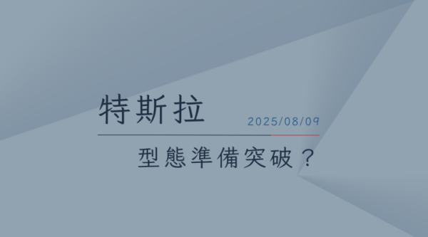 20250809特斯拉TESLA
