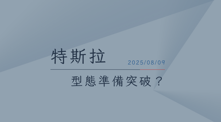 20250809特斯拉TESLA